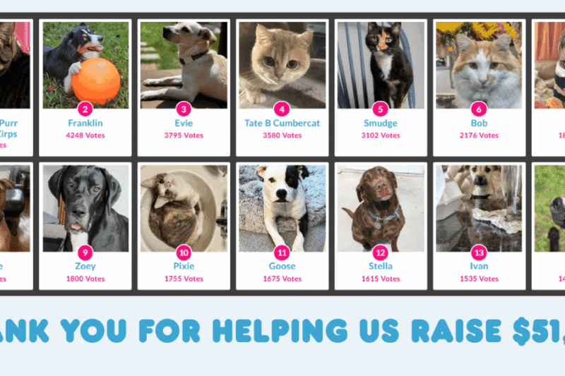 The Paw Print Calendar 2026