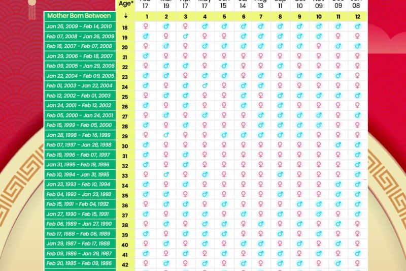 Chinese Calendar Gender Predictor 2026